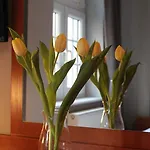 Dworek Mitro *