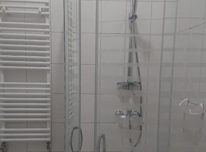 Проживание в семье Dworek Mitro *